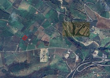 Foto 17 - Terreno agricolo Contrada PIANO d'ERCOLE
snc, Ischitella - foto 17