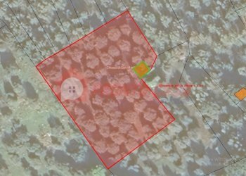 Foto 20 - Terreno agricolo Contrada VALLONE DEI MULINI
SNC, Ischitella - foto 20