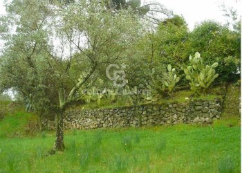 Foto 1 - Terreno edificabile Via Appia Sud, Velletri - foto 1