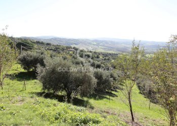 Foto 1 - Casa indipendente via del basso, Manciano - foto 1