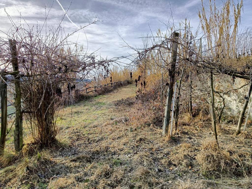 Foto 1 - Terreno agricolo Via Roddino
 
snc, Serralunga d'Alba - foto 1