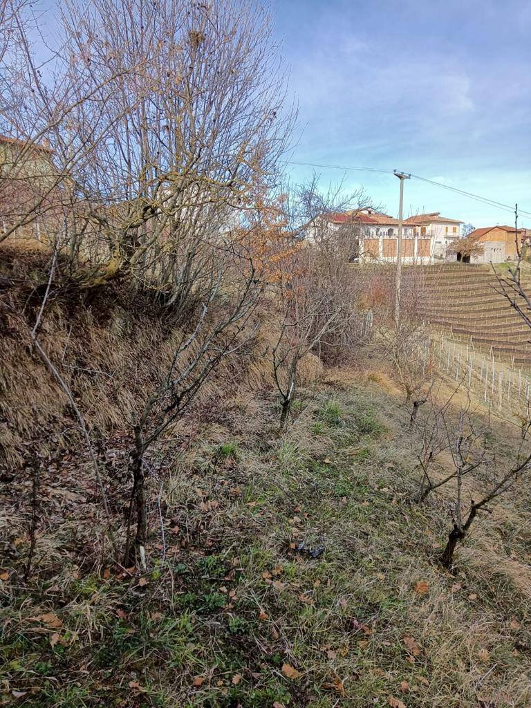 Foto 2 - Terreno agricolo Via Roddino
snc, Serralunga d'Alba - foto 2