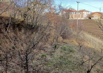 Foto 2 - Agricultural land Via Roddino
 
snc, Serralunga d'Alba - photo 2