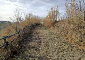 Foto 4 - Agricultural land Via Roddino
 
snc, Serralunga d'Alba - photo 4