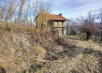 Foto 8 - Agricultural land Via Roddino
 
snc, Serralunga d'Alba - photo 8