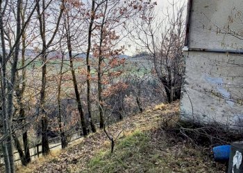 Foto 12 - Agricultural land Via Roddino
 
snc, Serralunga d'Alba - photo 12