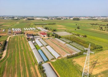 Foto 2 - Terreno agricolo strada tetti berta, Vinovo - foto 2