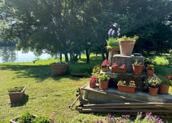 Foto 2 - Commercial Premises Strada Asino, Carignano - photo 2