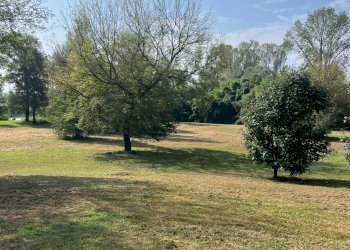 Foto 20 - Commercial Premises Strada Asino, Carignano - photo 20