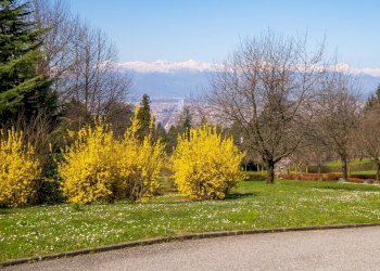 parco condominiale - Villa strada Val San Martino Superiore
 
285, Torino - foto 4