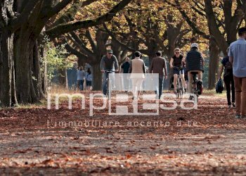 Foto 11 - Appartamento via Manin
 
2, Montebelluna - foto 10