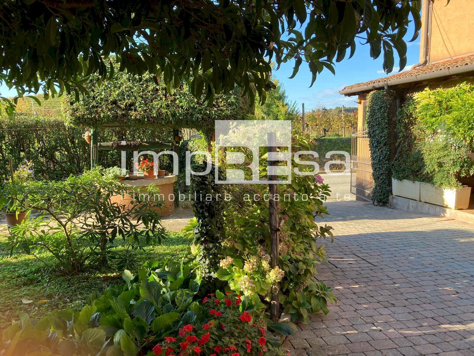 Foto 1 - Terreno agricolo Prepotto - foto 1