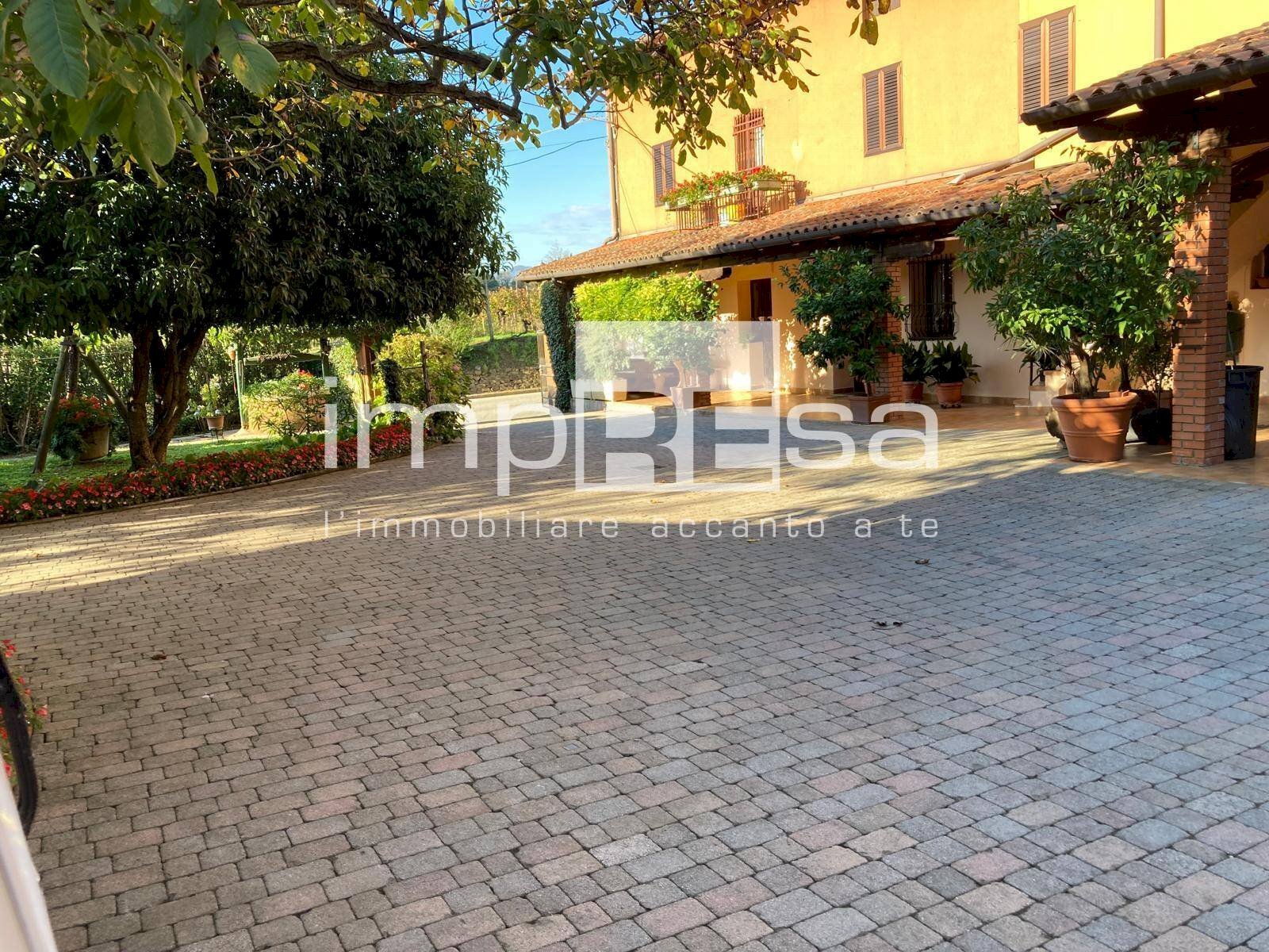 Foto 3 - Terreno agricolo Prepotto - foto 3