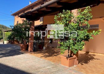 Foto 9 - Terreno agricolo Prepotto - foto 9