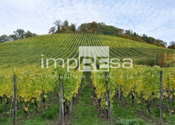 Foto 1 - Terreno agricolo Valdobbiadene - foto 1