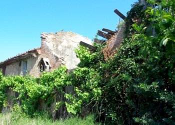 Foto 9 - Casa indipendente Via Della Ginestra, Ferrara - foto 9