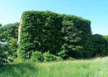 Foto 10 - Casa indipendente Via Della Ginestra, Ferrara - foto 10