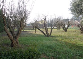 Foto 28 - Casa indipendente VIA PRIMICELLO, Copparo - foto 26