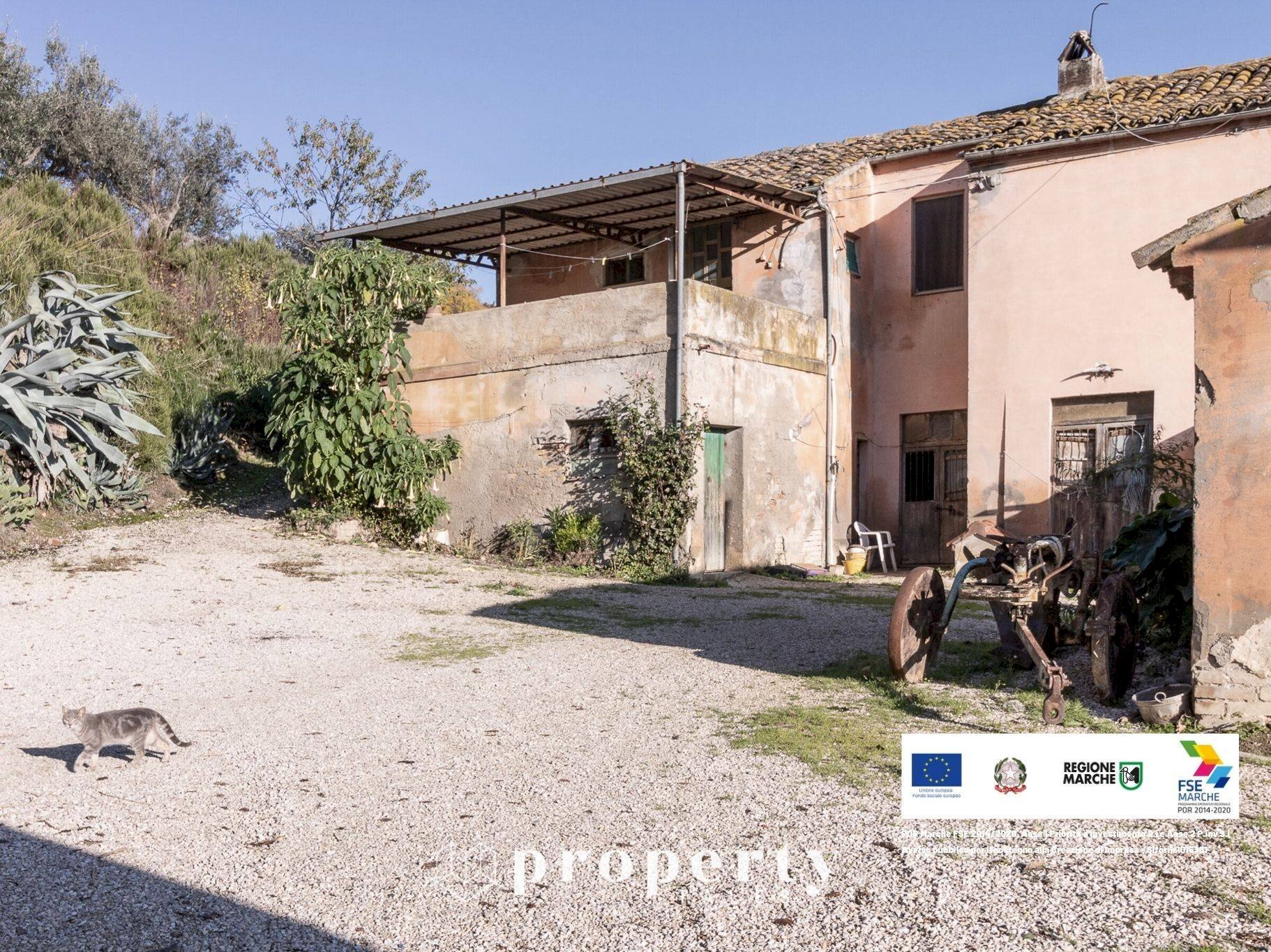 Foto 2 - Rustico C.da San Rustico
 
17, Ripatransone - foto 2