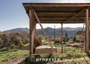 Foto 4 - Rustico C.da San Rustico
 
17, Ripatransone - foto 4