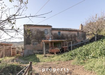 Foto 5 - Rustico C.da San Rustico
 
17, Ripatransone - foto 5