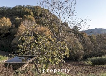 Foto 6 - Rustico C.da San Rustico
 
17, Ripatransone - foto 6