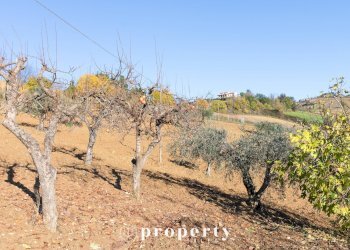 Foto 7 - Rustico C.da San Rustico
 
17, Ripatransone - foto 7