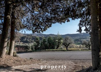 Foto 19 - Rustico C.da San Rustico
 
17, Ripatransone - foto 19