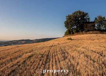 Terreno - Rustic Contrada San Donato
 
12, Monteprandone - photo 11