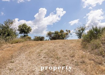 Foto 6 - Rustico Contrada Castellano
 
4, Ripatransone - foto 6