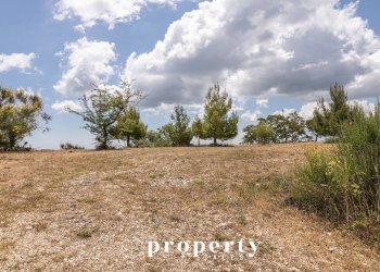 Foto 7 - Rustico Contrada Castellano
 
4, Ripatransone - foto 7