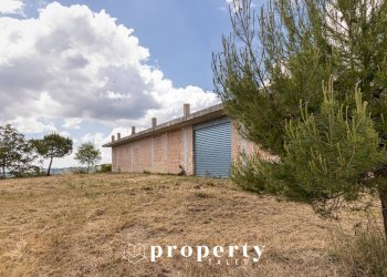 Foto 9 - Rustico Contrada Castellano
 
4, Ripatransone - foto 9