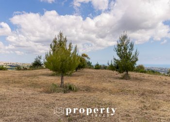 Foto 13 - Rustico Contrada Castellano
 
4, Ripatransone - foto 13