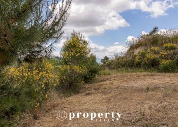 Foto 19 - Rustico Contrada Castellano
 
4, Ripatransone - foto 19