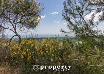 Foto 23 - Rustico Contrada Castellano
 
4, Ripatransone - foto 23