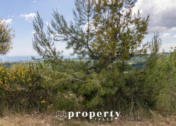 Foto 24 - Rustico Contrada Castellano
 
4, Ripatransone - foto 24