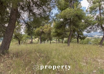 Foto 29 - Rustico Contrada Castellano
 
4, Ripatransone - foto 29