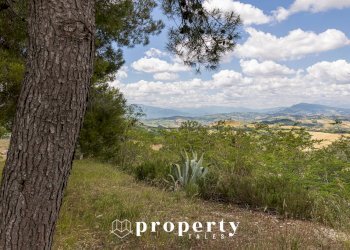 Foto 31 - Rustico Contrada Castellano
 
4, Ripatransone - foto 31