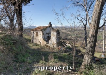 Foto 11 - Rustico Contrada Ciapelle
 
snc, Ripatransone - foto 11