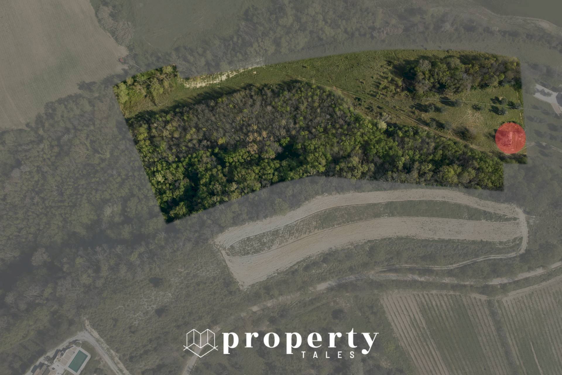 Foto 3 - Rustico Montefiore dell'Aso - foto 3