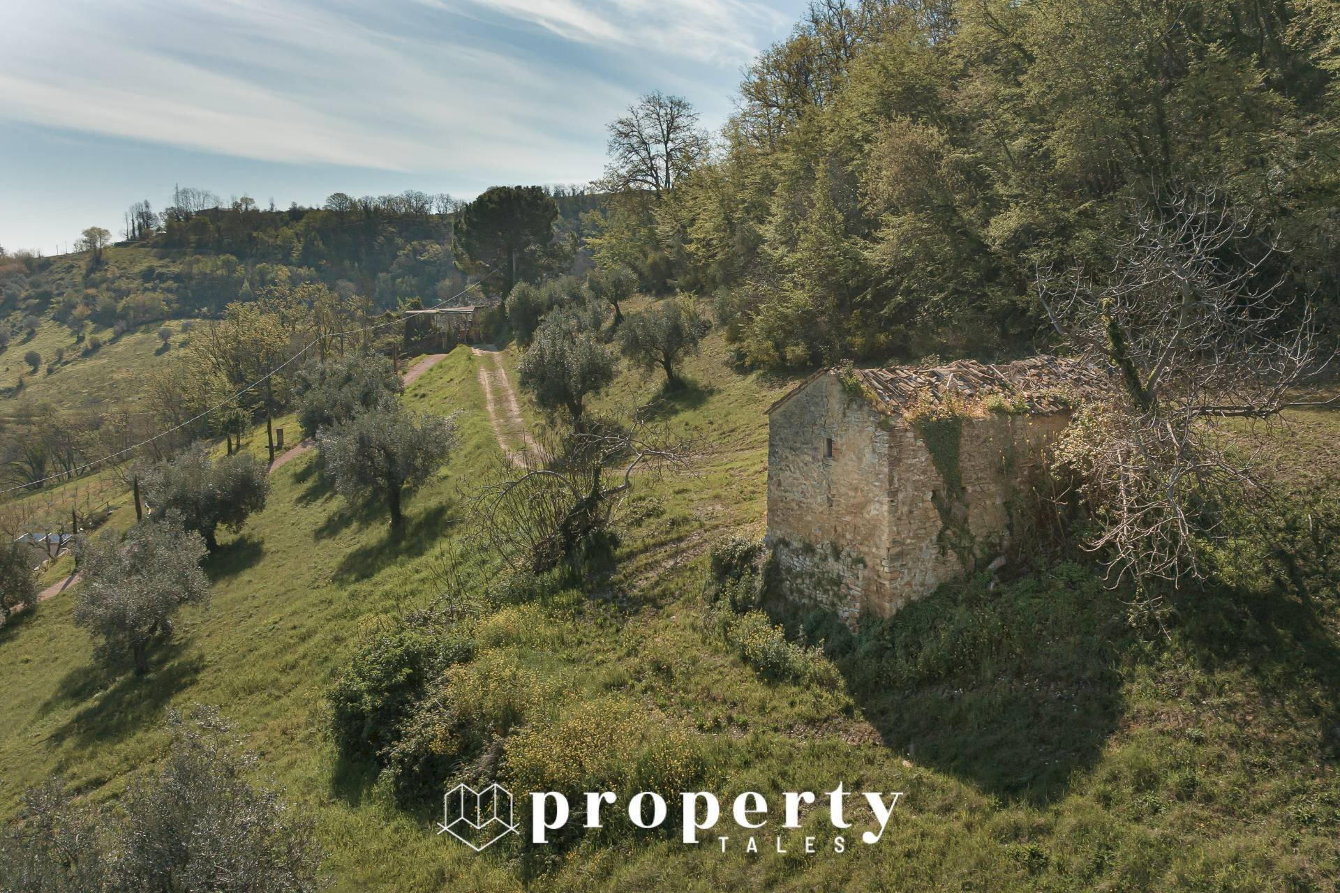 Foto 1 - Rustic Montefiore dell'Aso - photo 1