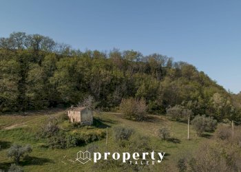 Foto 6 - Rustico Montefiore dell'Aso - foto 6