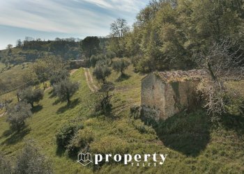 Foto 8 - Rustico Montefiore dell'Aso - foto 8