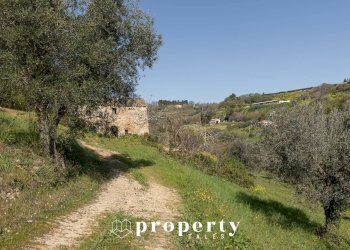 Foto 12 - Rustico Montefiore dell'Aso - foto 12