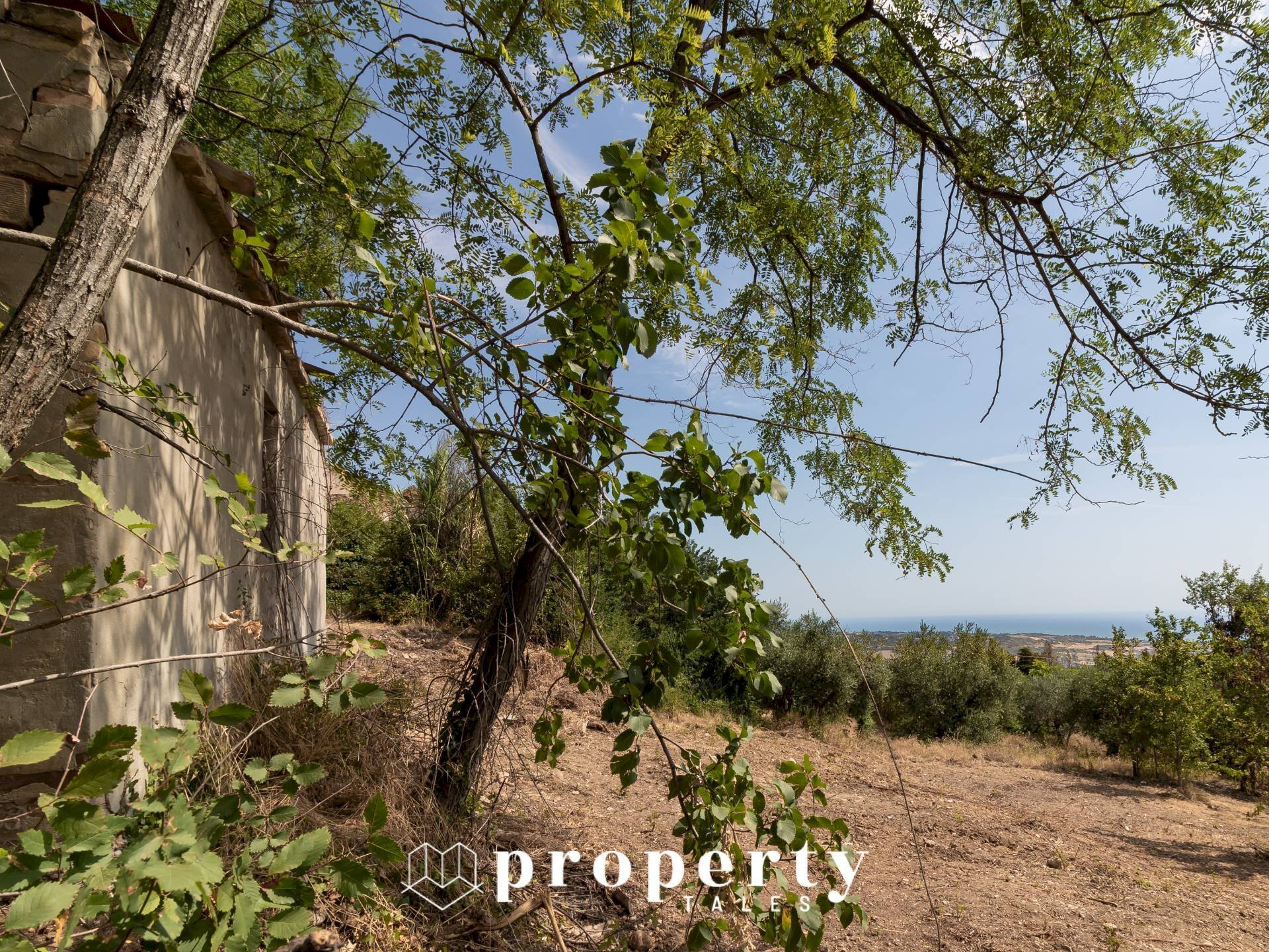 Foto 1 - Rustico Cda Castellano, Ripatransone - foto 1