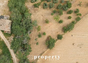 Foto 4 - Rustico Cda Castellano, Ripatransone - foto 4