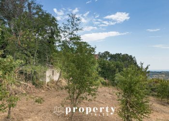 Foto 9 - Rustico Cda Castellano, Ripatransone - foto 9