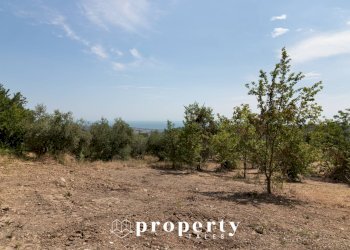 Foto 10 - Rustico Cda Castellano, Ripatransone - foto 10