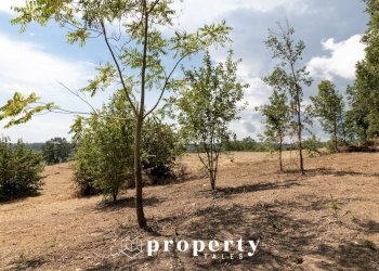 Foto 12 - Rustico Cda Castellano, Ripatransone - foto 12