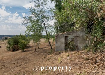 Foto 13 - Rustico Cda Castellano, Ripatransone - foto 13